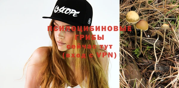кокаин Гусь-Хрустальный