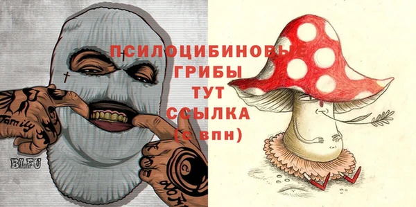 ешки Гусев