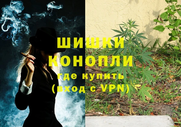 мдпв Горно-Алтайск